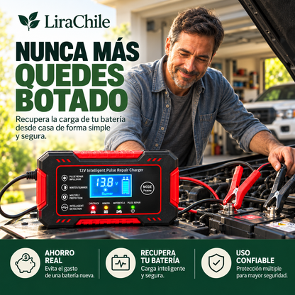 Cargador Reparador Inteligente de Baterías